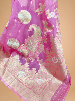 Organza Silk Saree - StitchVogue